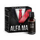 Alfa Man