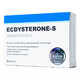 Ecdysterone-S в Самаре