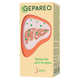 Gepareo в Санкт-Петербурге